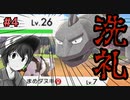 【ポケモン剣盾】 ワイルドエリアの洗礼を受けました… 10年振りにポケモンのゲームをプレイしてみた ＃4【ゲーム実況】
