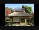 ２０２０年１２月２日　ho散歩　 縮景園　 広島城