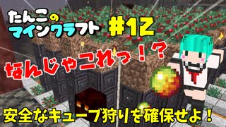 【Minecraft 1.16】たんこのマイクラ #12【安全なキューブ狩りを確保せよ！】