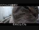 チクさんと出勤前と