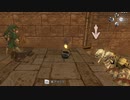 【トワプリ】ＨＤな尻に敷かれて厄動するケモノ【字幕プレイ動画その６６】