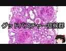 【ゆっくり朗読】ゆっくりさんと不思議な病気 その270