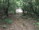 LET'S CLIMB↑／花宮女子クライミング部 [笠原好(CV.上坂すみれ)、上原隼(CV.石川由依)、四葉幸与(CV.鈴木愛奈)、杉浦野々華(CV.富田美憂)]