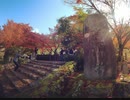 丹波・高源寺の紅葉：鐘の音と犬