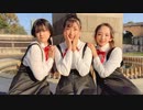 【やおせんとうふ】恋愛裁判【踊ってみた】