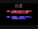 誰が為の行動力～skyrimを買った理由と買ってから～