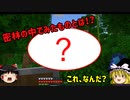 【ゆっくり実況】ジャングルの奥で見つけたものとは・・・【行き当たりばったりのマインクラフト（バニラ）】part27