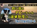 Twitterで選挙についてのアンケート　ボギー大佐の言いたい放題　2020年11月07日　21時頃　放送分