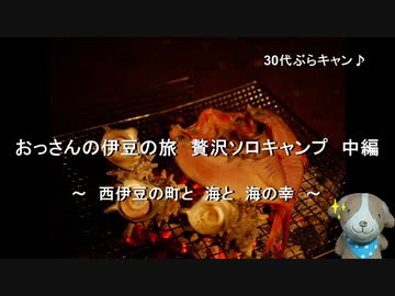 30代ぶらキャン♪　おっさんの伊豆の旅　贅沢ソロキャンプ　中編　～　西伊豆の町と　海と　海の幸　～