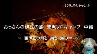 30代ぶらキャン♪　おっさんの伊豆の旅　贅沢ソロキャンプ　中編　～　西伊豆の町と　海と　海の幸　～