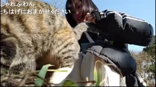 【ふわん】猫（ふにゃん）に会いに行く【2020/12/04】