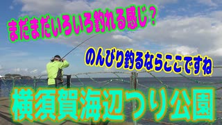 釣り動画ロマンを求めて 381釣目 （横須賀海辺つり公園）