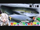 【VOICEROIDフィッシング】あかりちゃんと行くカヤックフィッシング第11話