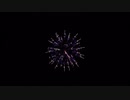 2020.11.28 みやざきシーサイド芸術花火 「尺玉コレクション」
