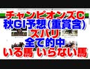 【競馬予想tv 競馬に人生】チャンピオンズカップ チャンピオンズC 2020 ズバリ いる馬 いらない馬【 クリソベリル チュウワウィザード クリンチャー ゴールドドリーム カフェファラオ 競馬予想】