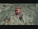 ダークソウル 2　実況プレイpart22