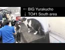 Private Diary; 2011.03.17 - 2020.11.13（BIG CAMERA Yurakucho B1F）