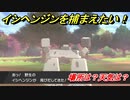 ポケモン剣盾　イシヘンジンを捕まえる方法！オススメの場所は？天気は？ポケモン図鑑コンプへの道！　【ポケモンソード・シールド】