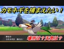 ポケモン剣盾　カモネギを捕まえる方法！オススメの場所は？天気は？ポケモン図鑑コンプへの道！　【ポケモンソード・シールド】
