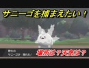 ポケモン剣盾　サニーゴを捕まえる方法！オススメの場所は？天気は？ポケモン図鑑コンプへの道！　【ポケモンソード・シールド】