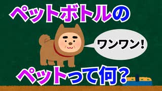 （雑学６個）知らなかった！ペットボトルのペットってどう言う意味？