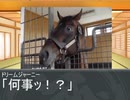 競馬プロレス 炎のステゴ祭り！(おまけ)