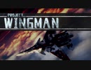 PS2時代エースコンバットのフォロワーゲーム「Project Wingman」を遊ぶ