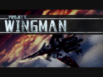 PS2時代エースコンバットのフォロワーゲーム「Project Wingman」を遊ぶ