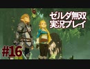 【実況】ゼルダ無双厄災の黙示録をやる#16