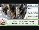 鹿せんべいRTA