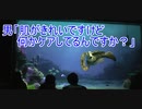 男「肌がきれいですけど何かケアしてるんですか？」【タートルトーク】東京ディズニーシー