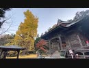 2020年12月04日1枠目　紅葉！まるで煉獄さん(鬼滅の刃)のような大銀杏があるらしい