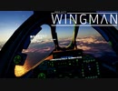 リアルな戦闘機ゲーProject Wingmanで無双目指します。#6[VR実況プレイ]