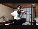 【平沢進】サイボーグをヴァイオリンで演奏してみた(ライブ風)