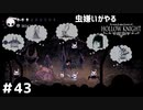 【虫嫌いがやる】Hollow Knight　part43【実況】