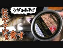アオジタトカゲがドッグフードを食す