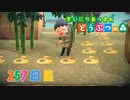 【実況】まいにち あつまれ どうぶつの森257日目