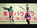 【東方パラパラ】U-N-K-N-O-W-N