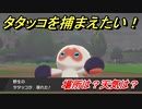 ポケモン剣盾　タタッコを捕まえる方法！オススメの場所は？天気は？ポケモン図鑑コンプへの道！　【ポケモンソード・シールド】