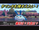 ポケモン剣盾　タマンタを捕まえる方法！オススメの場所は？天気は？ポケモン図鑑コンプへの道！　【ポケモンソード・シールド】