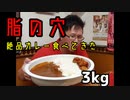【脂の穴】FRYER FLYERでカレー3kg食べたら唐揚げうますぎて5分で無くなってた