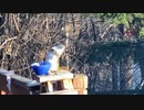 のんだくれてるリス（平沢進）