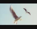【ザキ☆ユリ】かもめが翔んだ日【歌ってみた】