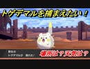 ポケモン剣盾　トゲデマルを捕まえる方法！オススメの場所は？天気は？ポケモン図鑑コンプへの道！　【ポケモンソード・シールド】