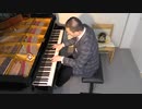 【ネコの毛皮着る】シューマンのトロイメライを弾いてみた【貴婦人の作るスープ】