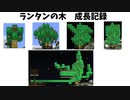 赤石師弟とパチンコ看板とランタンの木【にじさんじ切り抜き】
