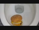ビッグマックをトイレに流してみた