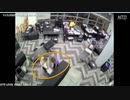 ジョージア州の不正行為・証拠映像を公開