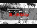真っ赤なLip/WANDS 歌ってみた・演奏してみた