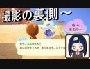 【あつまれ どうぶつの森】　撮影裏側幕　実は裏でこんなこともしていました～